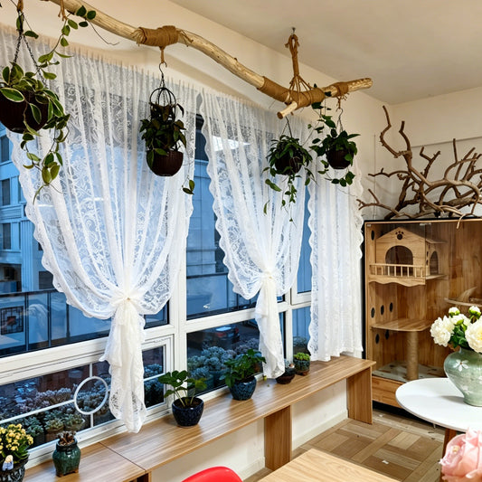 Beautiful & Functional Embroidered Sheer Curtain